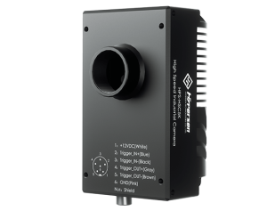 ����Ǯ������