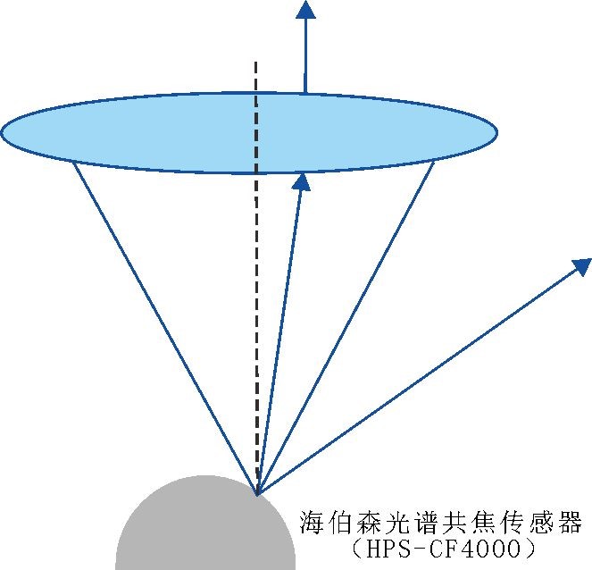 ����Ǯ������