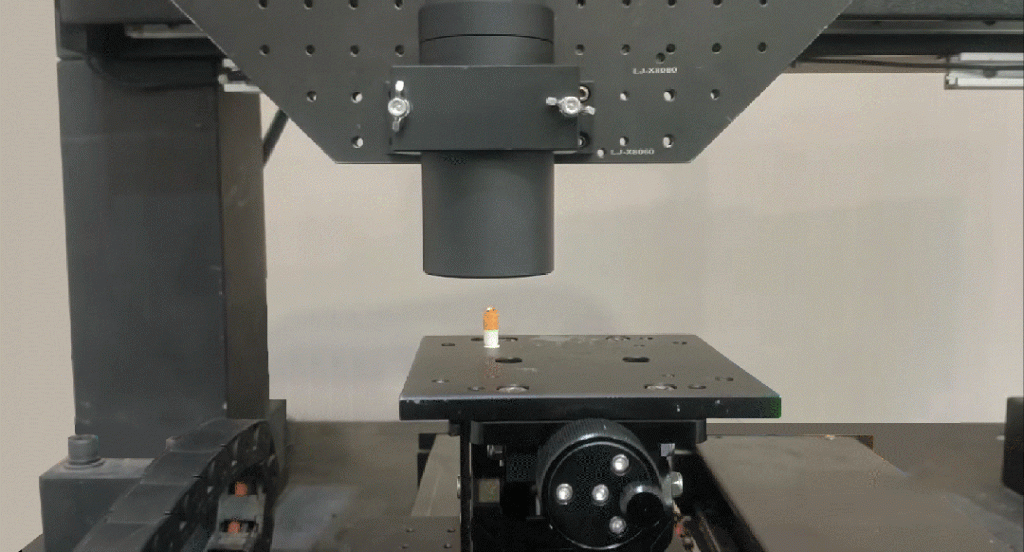 ����Ǯ������